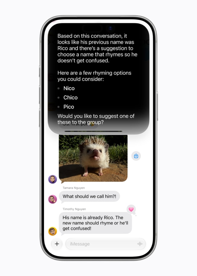In Messages on iPhone 17 Pro, Siri AI makes suggestions for what a user should name a friend’s new pet.